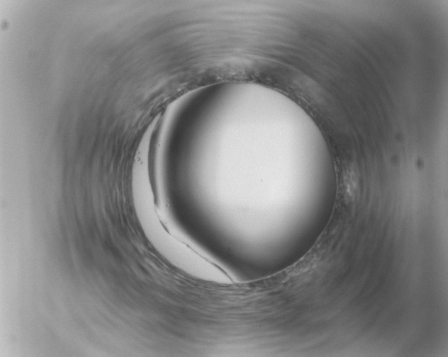 X0000056320964200509092258