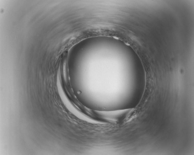 X0000056320965200509092258