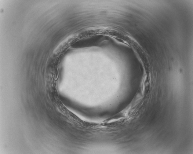 X0000056320967200509092258