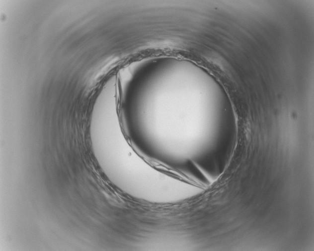 X0000056320968200509092258