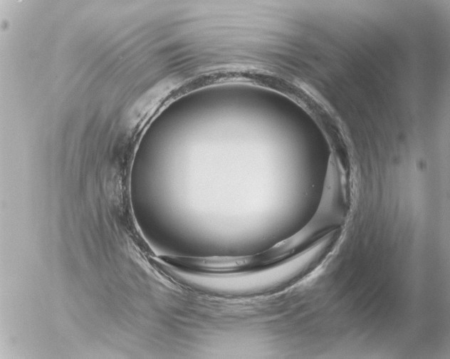 X0000056320969200509092258