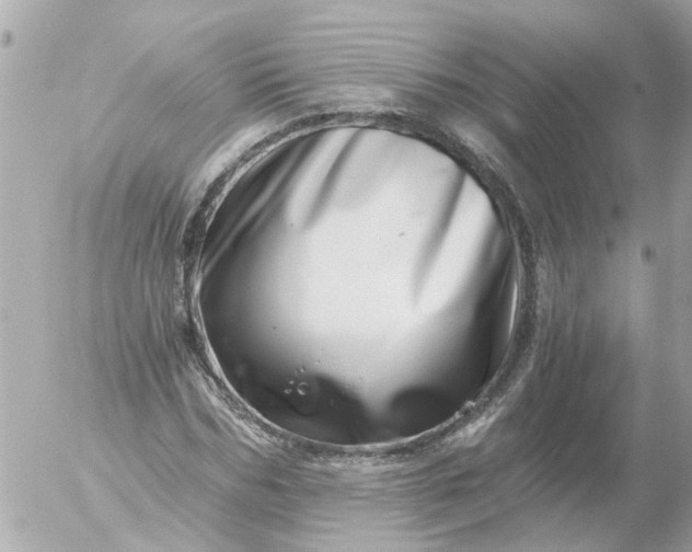 X0000056320970200509092258