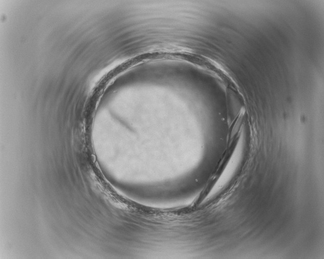 X0000056320971200509092258