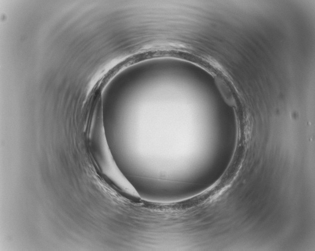 X0000056320973200509092258