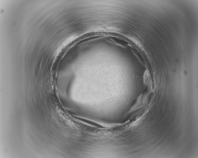 X0000056320974200509092258