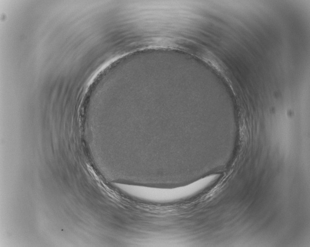 X0000056320975200509092258