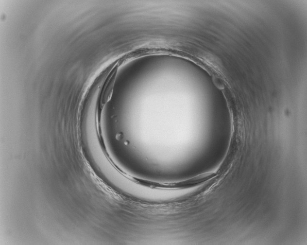 X0000056320976200509092258