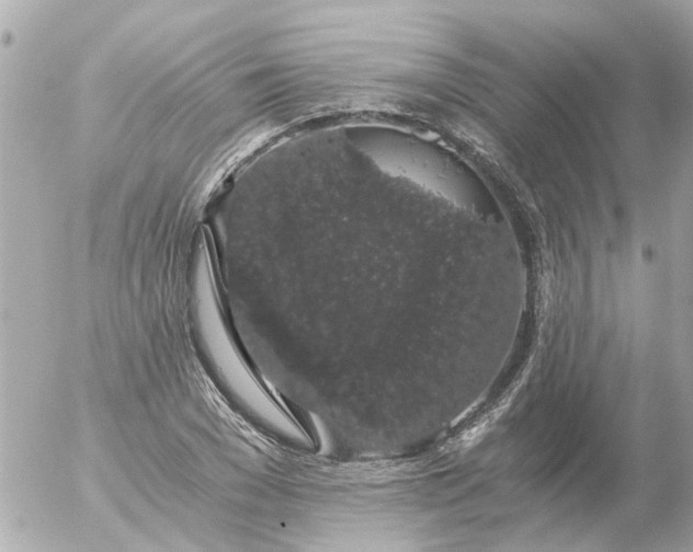 X0000056320977200509092258