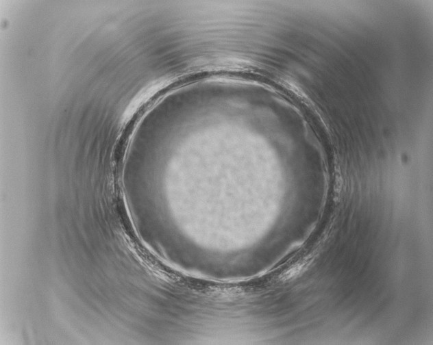 X0000056320978200509092258