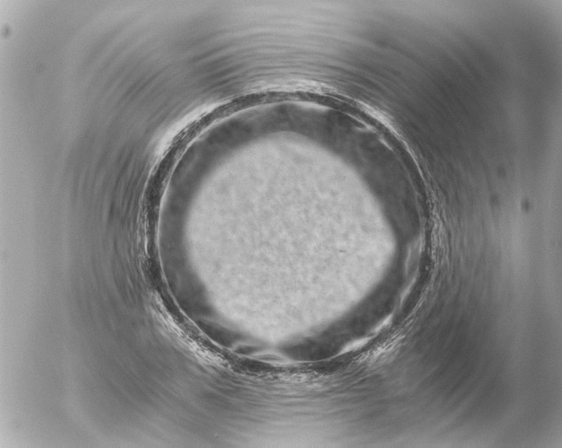 X0000056320979200509092258