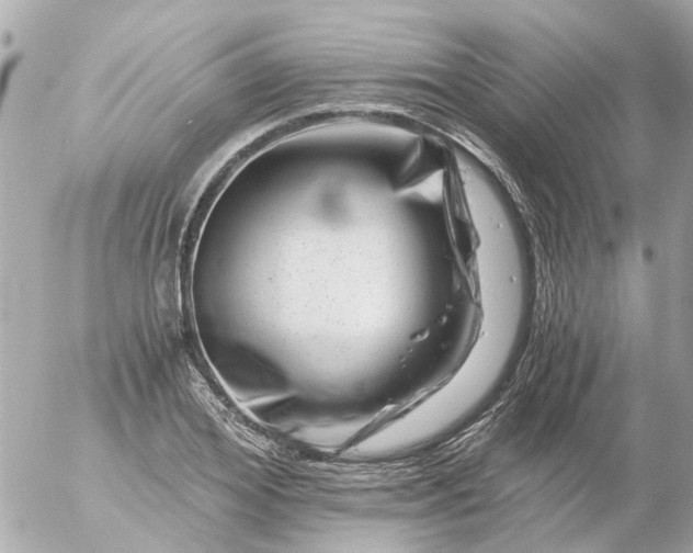 X0000056320980200509092258