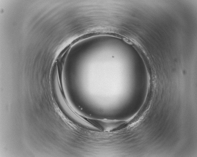 X0000056320981200509092258