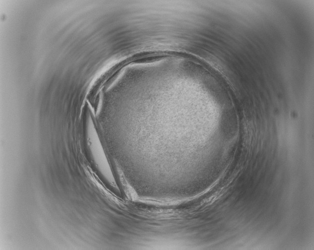 X0000056320982200509092258