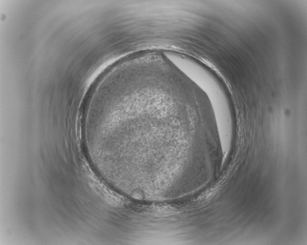 X0000056320983200509092258