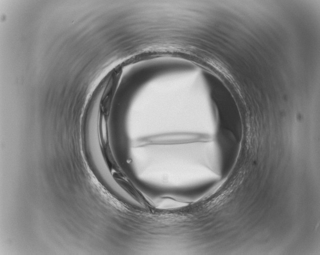 X0000056320984200509092258