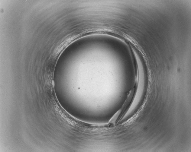 X0000056320985200509092258