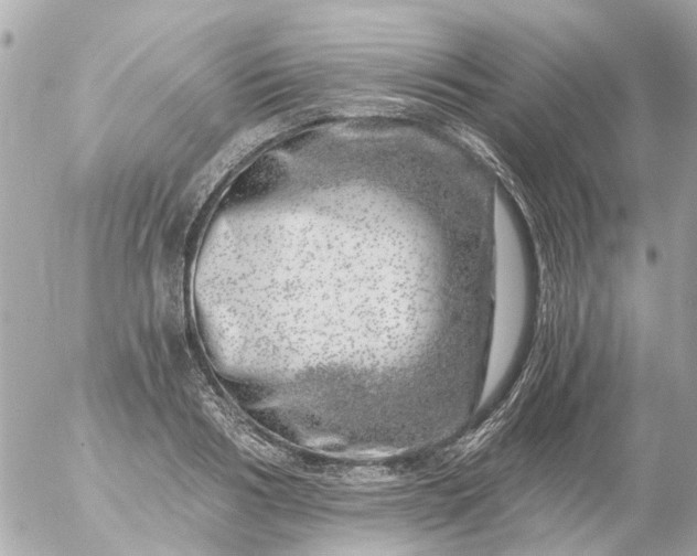 X0000056320986200509092258