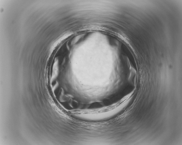 X0000056320987200509092258