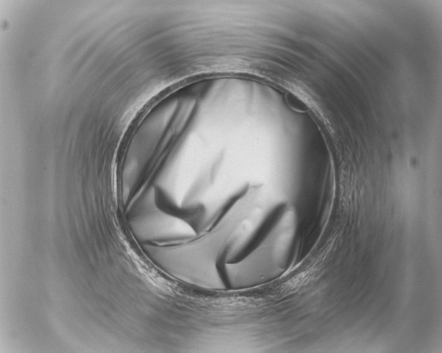 X0000056320988200509092258