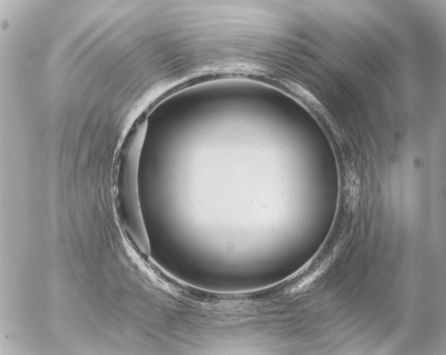 X0000056320989200509092258