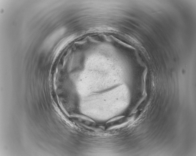 X0000056320990200509092258