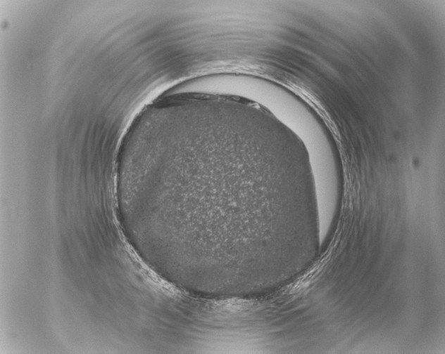 X0000056320992200509092258