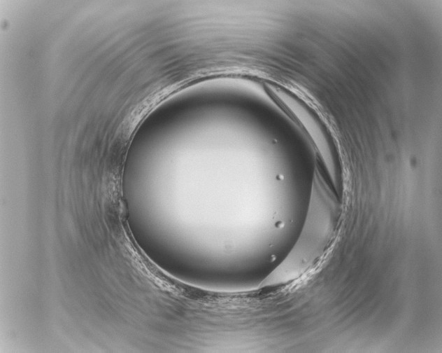 X0000056320993200509092258