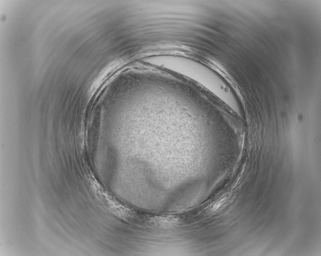 X0000056320994200509092258