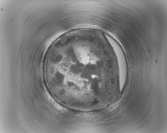 X0000056320995200509092258