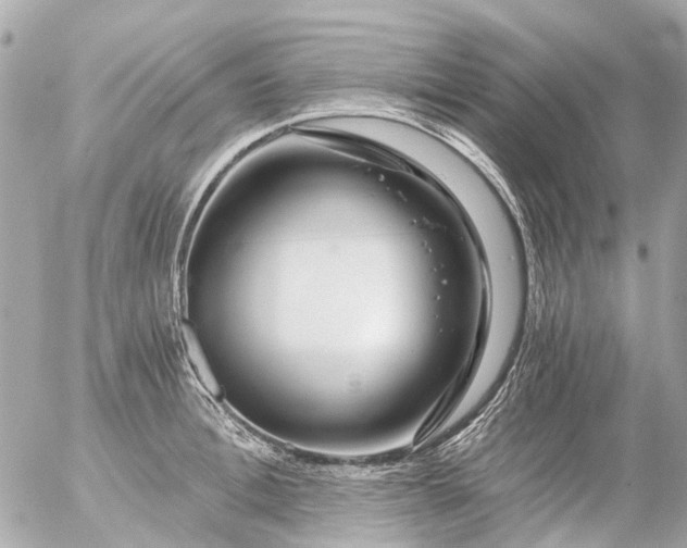 X0000056320996200509092258