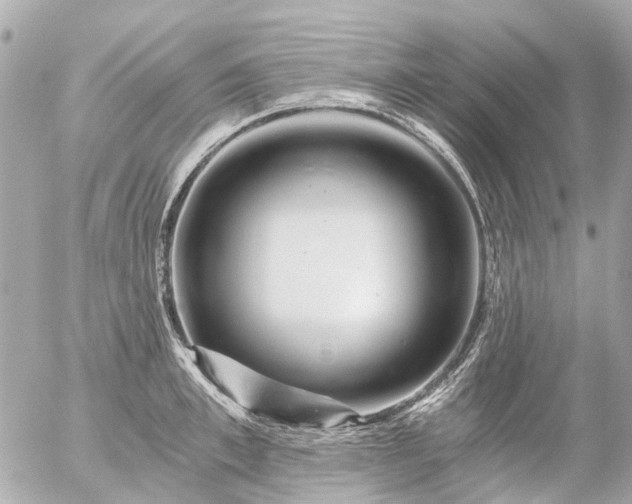 X0000056320997200509092258