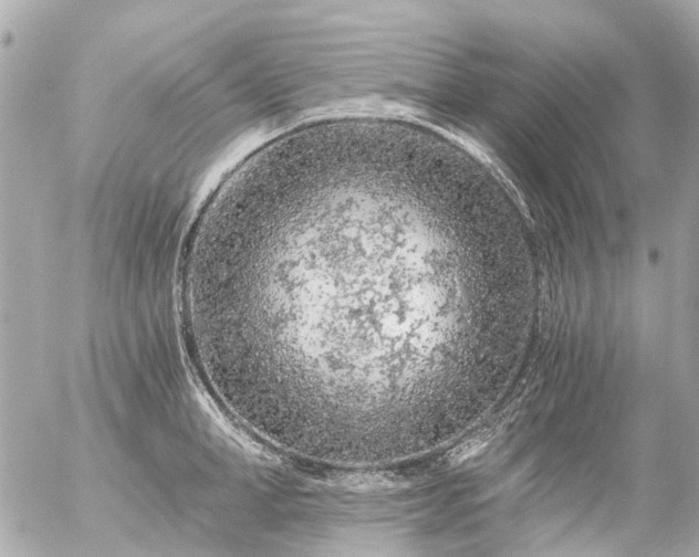 X0000056320998200509092258