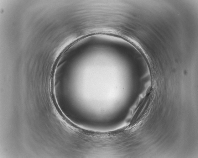 X0000056320999200509092258