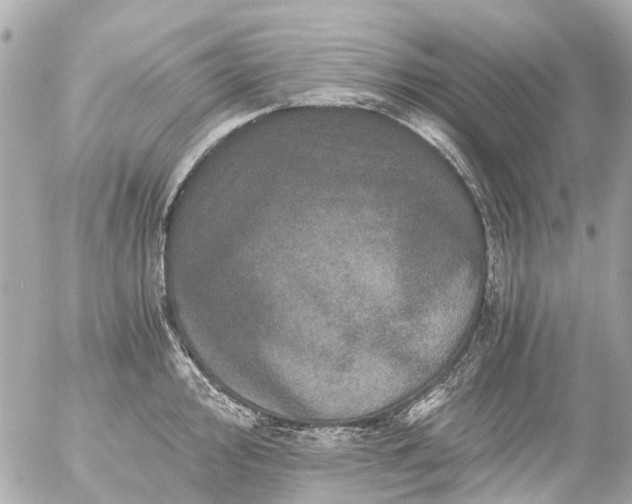 X0000056321000200509092258