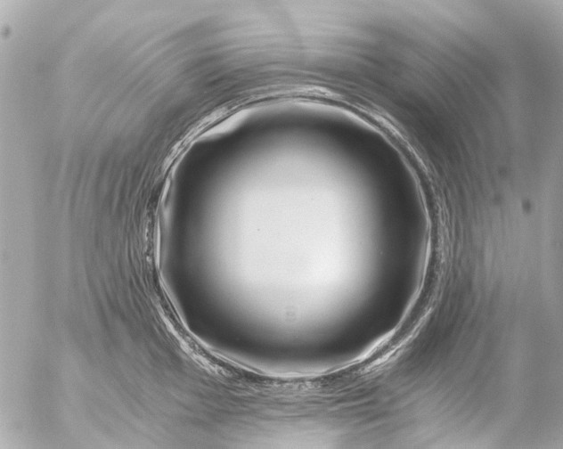 X0000056321001200509092258