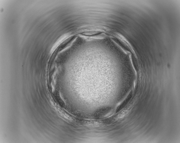 X0000056321002200509092258