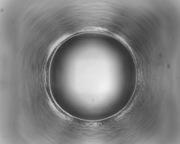 X0000056321003200509092258