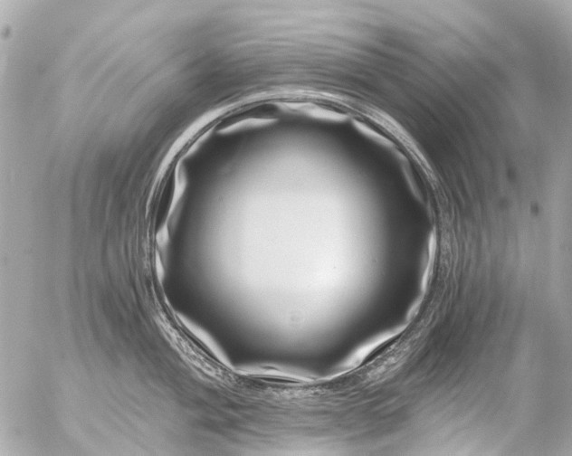 X0000056321004200509092258