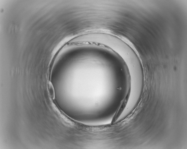 X0000056321005200509092258