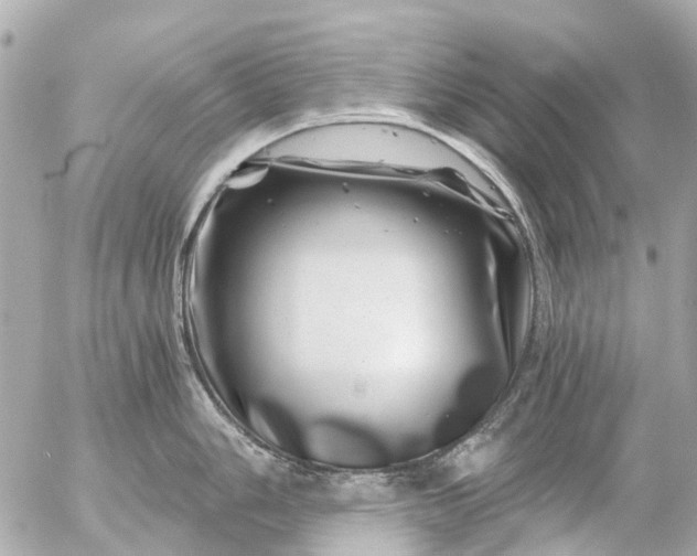 X0000056321006200509092258