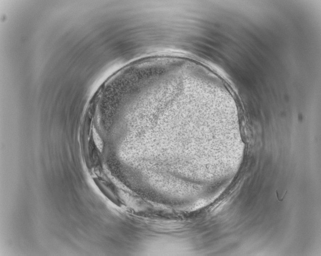 X0000056321007200509092258