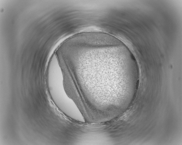 X0000056321008200509092258