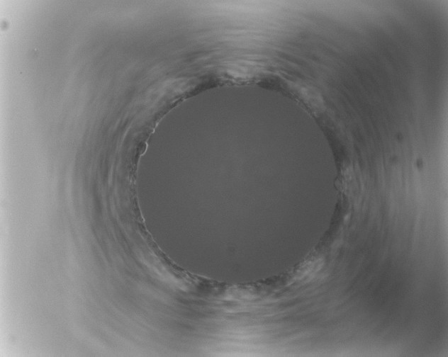 X0000056321009200509092257