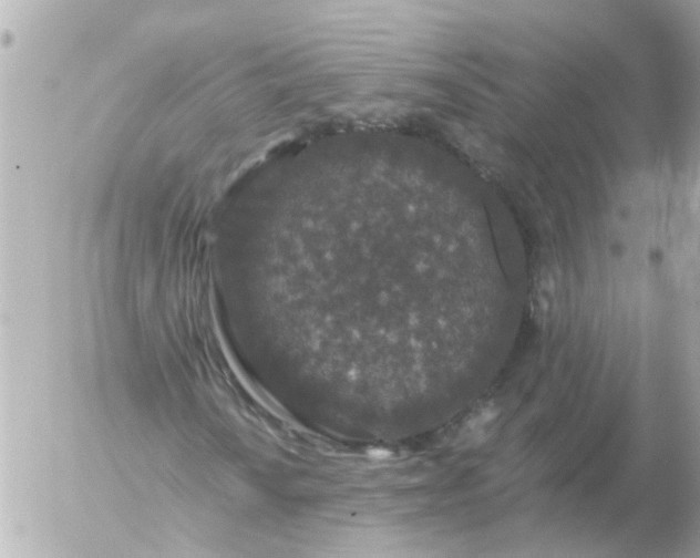 X0000056321010200509092257