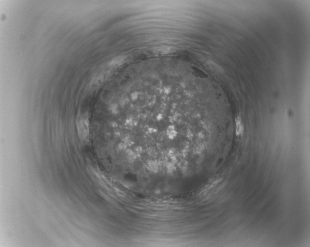 X0000056321011200509092257