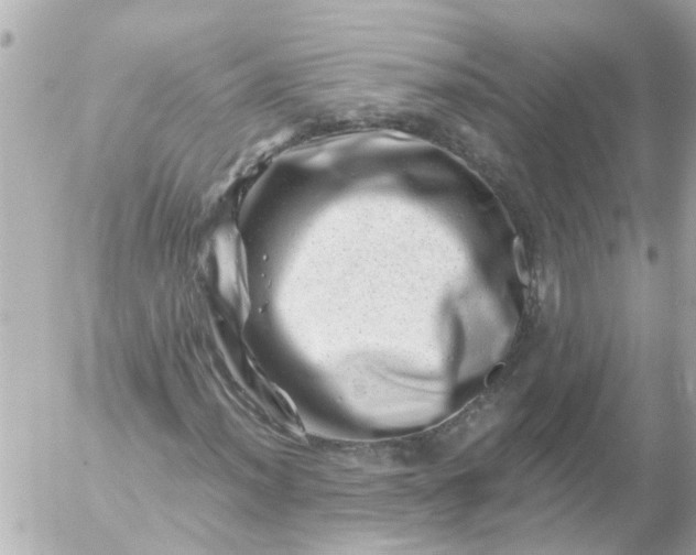 X0000056321012200509092257