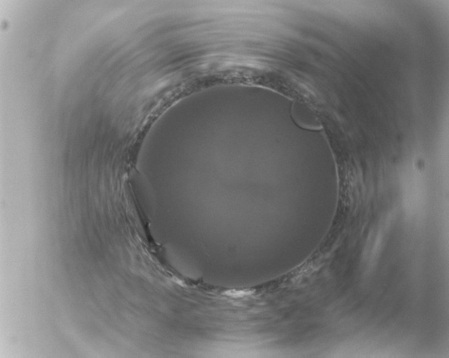 X0000056321013200509092257