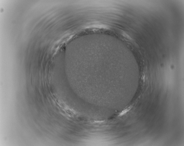 X0000056321014200509092257