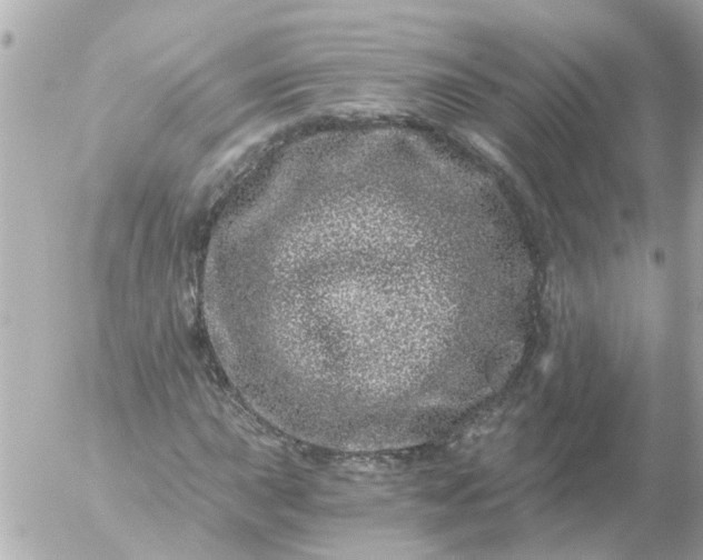 X0000056321015200509092257