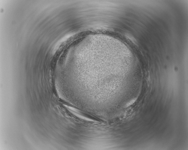 X0000056321016200509092257